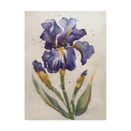 Wendra 'Blue Painted Iris' Canvas Art,14x19
